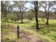 1845 Wollombi Road, Sweetmans Creek NSW 2325