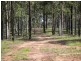 Off Gresford Road, Singleton NSW 2330