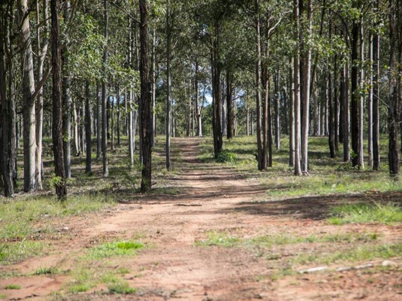 Off Gresford Road, Singleton NSW 2330