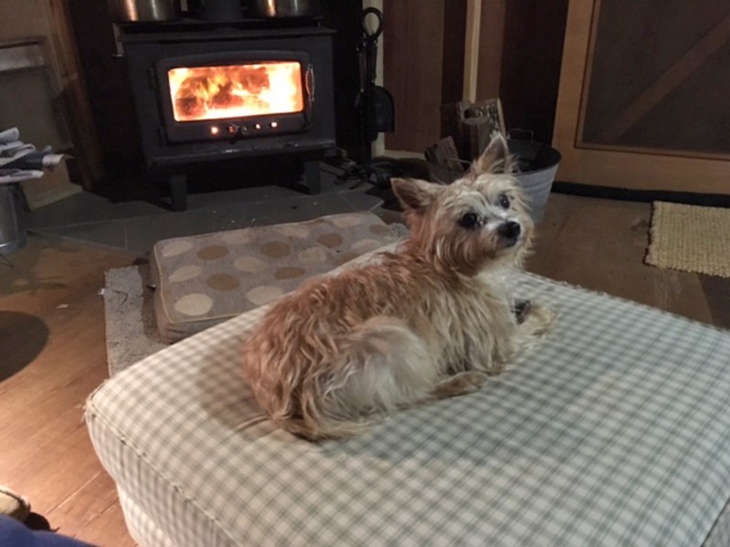 142 Craft Road, Wollombi NSW 2325