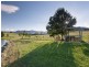 80 Mistletoe Lane, Pokolbin NSW 2320