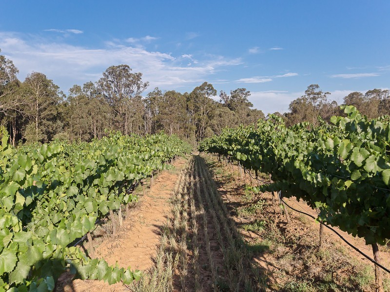 80 Mistletoe Lane, Pokolbin NSW 2320