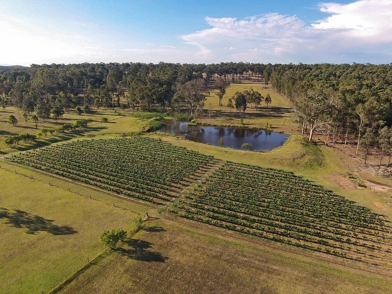 80 Mistletoe Lane, Pokolbin NSW 2320