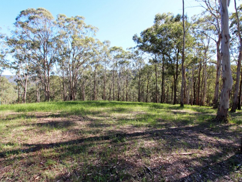 135 Mount Baker Road, Mount View NSW 2325