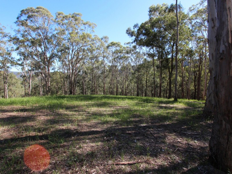 135 Mount Baker Road, Mount View NSW 2325