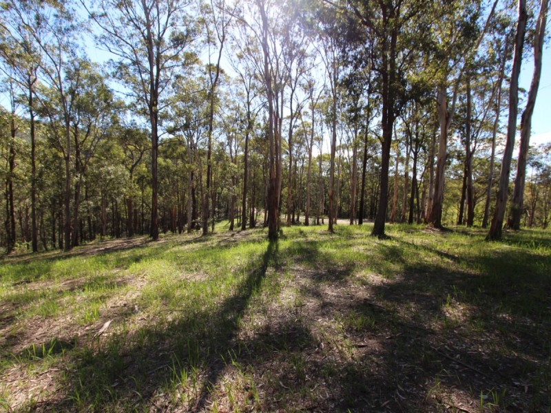 135 Mount Baker Road, Mount View NSW 2325