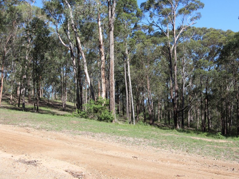 135 Mount Baker Road, Mount View NSW 2325