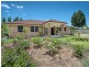 4 Bindi Court, Lavington NSW 2641