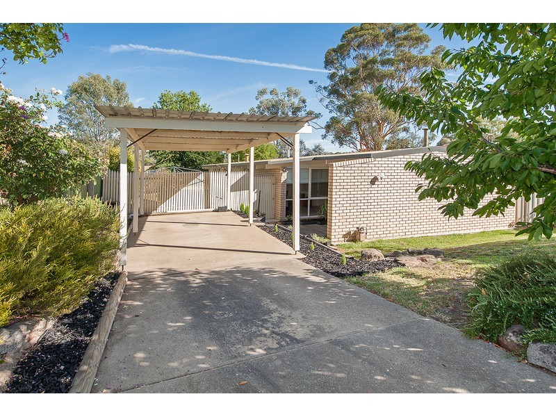 49 Morgan Crescent, Thurgoona NSW 2640