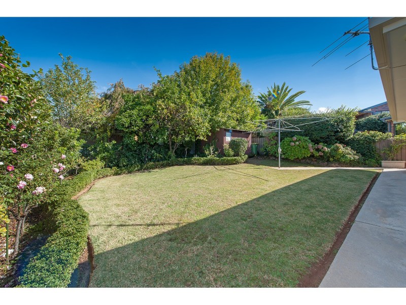 399 Halehaven Crescent, Lavington NSW 2641