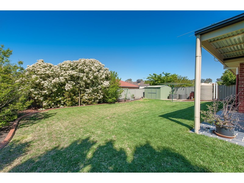 19 Swallow Street, Thurgoona NSW 2640