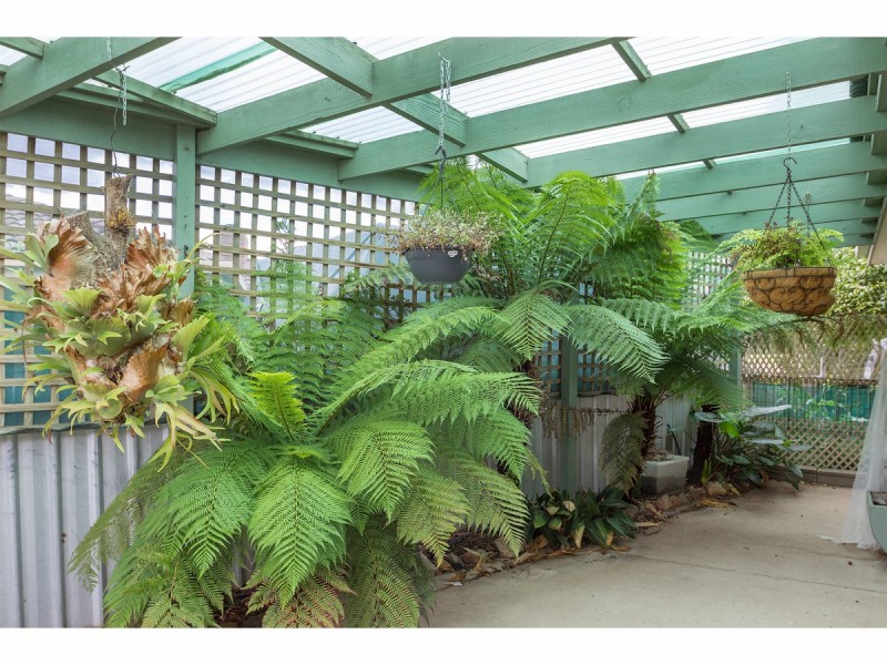 8 Watt Place, Lavington NSW 2641