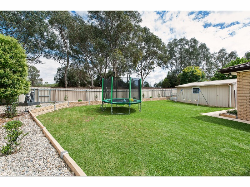 19 Lacebark Court, Thurgoona NSW 2640