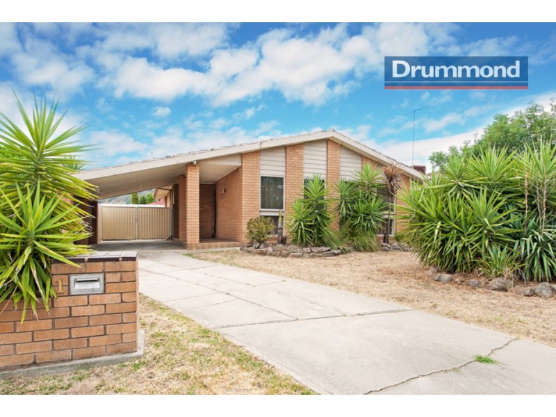 1 Renwick Court, Lavington NSW 2641