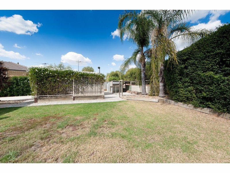 19 Cassinia Court, Thurgoona NSW 2640