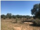 Lot 3 Belmore Street, Howlong NSW 2643