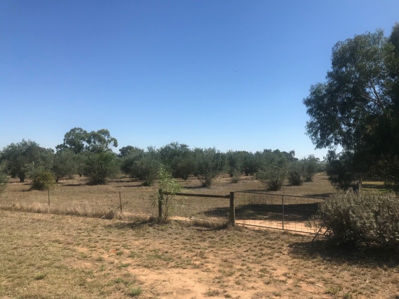 Lot 3 Belmore Street, Howlong NSW 2643