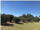 Lot 3 Belmore Street, Howlong NSW 2643