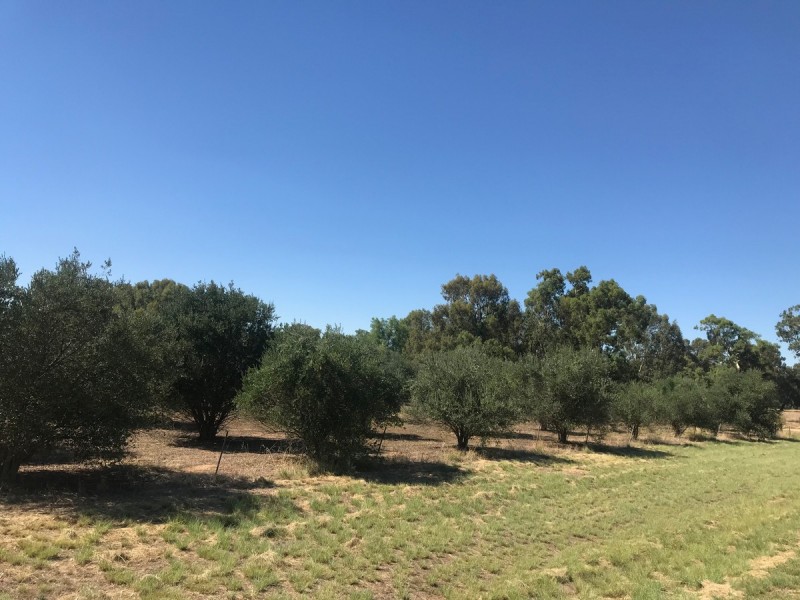 Lot 3 Belmore Street, Howlong NSW 2643