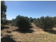 Lot 3 Belmore Street, Howlong NSW 2643