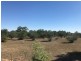 Lot 3 Belmore Street, Howlong NSW 2643