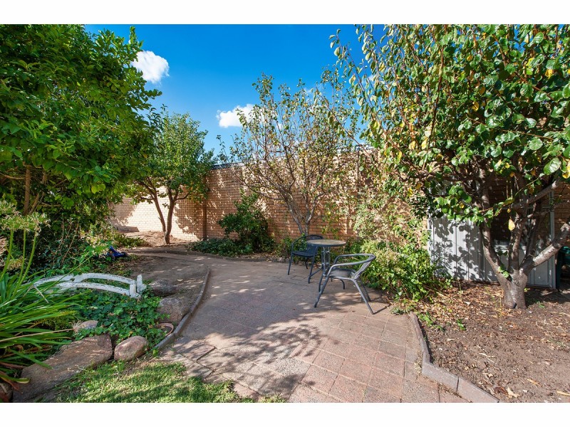 145 Boronia Street, North Albury NSW 2640