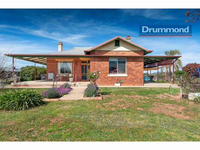 6 Clive Court, Table Top NSW 2640