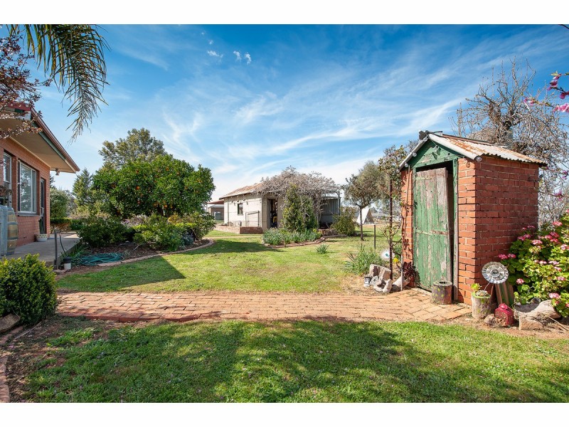 6 Clive Court, Table Top NSW 2640