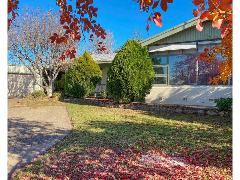 379 Allawah Street, North Albury NSW 2640