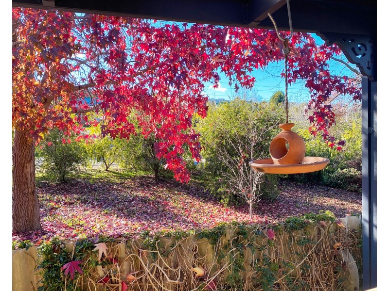 23 Isaacs Avenue, Yackandandah VIC 3749