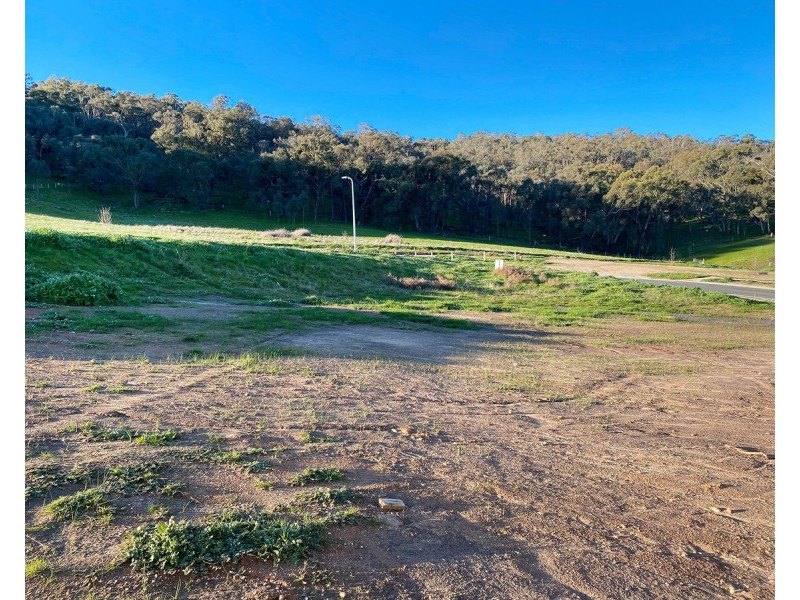 13 Dempster Place, Leneva VIC 3691