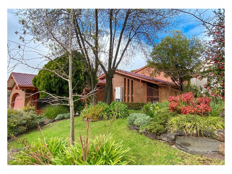 12 Michelle Avenue, Lavington NSW 2641