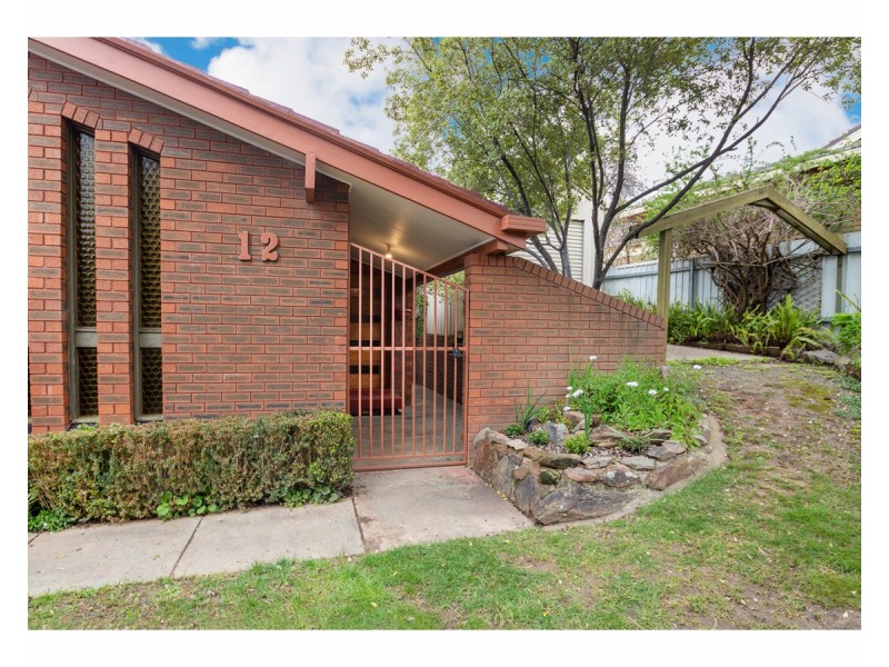 12 Michelle Avenue, Lavington NSW 2641