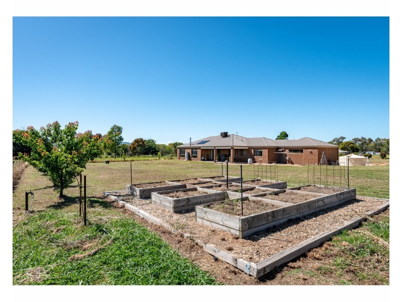 1799 Gerogery Road, Gerogery NSW 2642