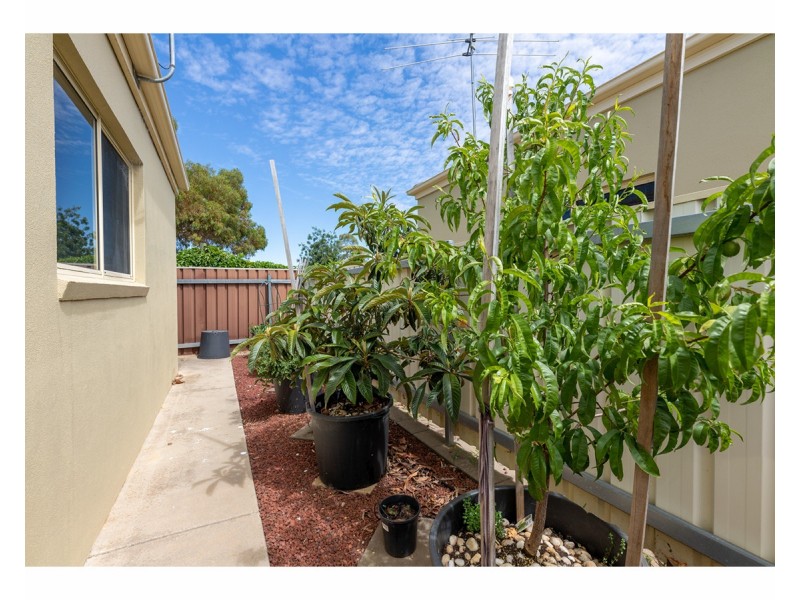 1-4/31 Russell Street, Howlong NSW 2643