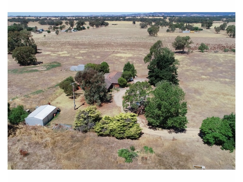 631 Lookout Road, Walla Walla NSW 2659