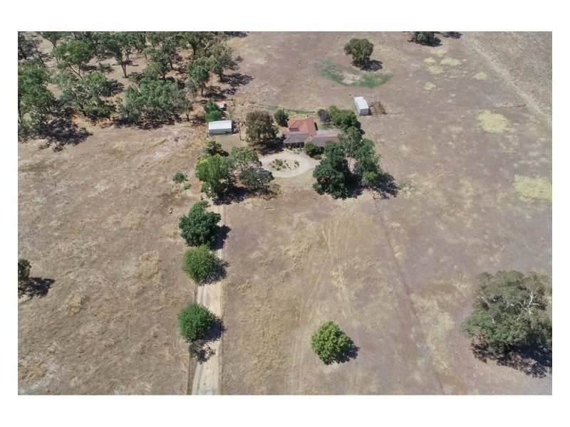 631 Lookout Road, Walla Walla NSW 2659