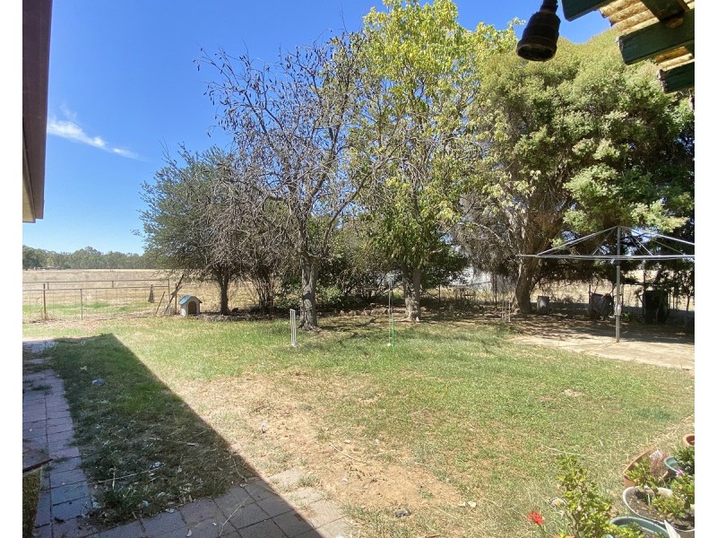 631 Lookout Road, Walla Walla NSW 2659