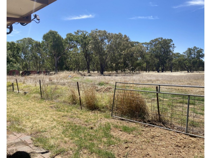 631 Lookout Road, Walla Walla NSW 2659