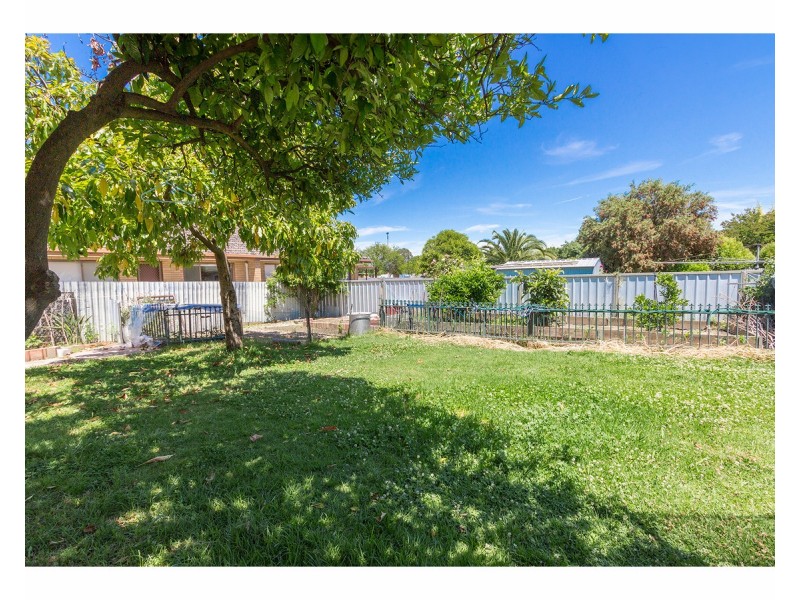 415 Olive Street, South Albury NSW 2640
