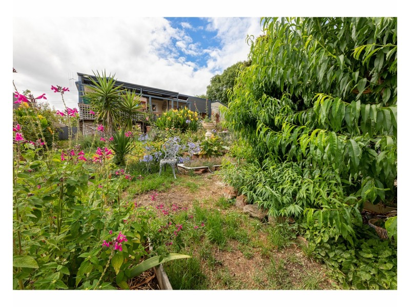 49 Jillico Avenue, Tallangatta VIC 3700