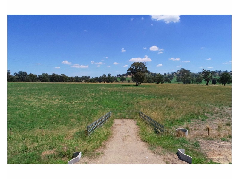 395 Jelbart Road, Jindera NSW 2642