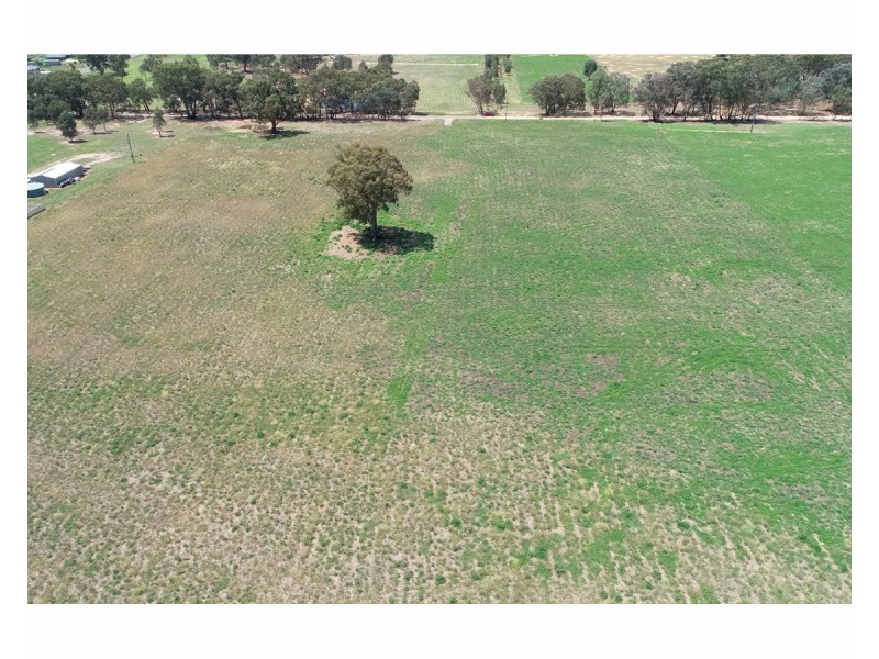 395 Jelbart Road, Jindera NSW 2642