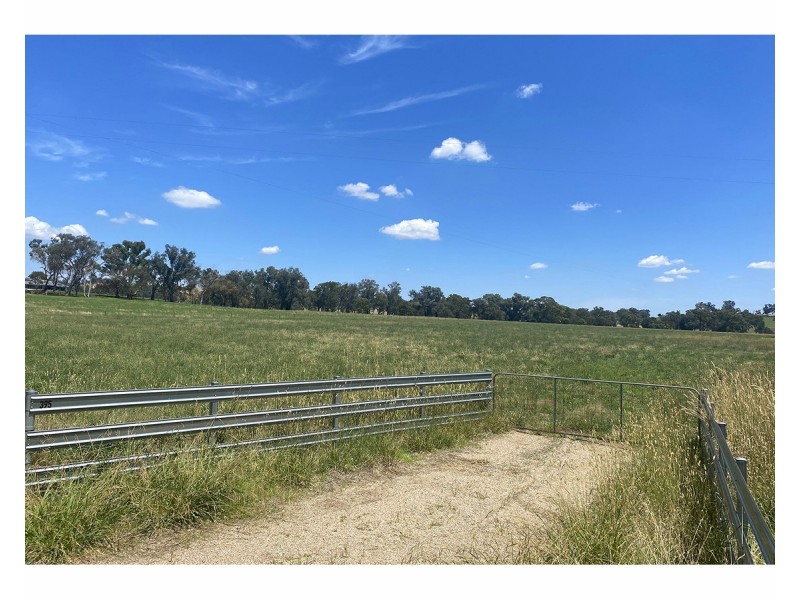 395 Jelbart Road, Jindera NSW 2642