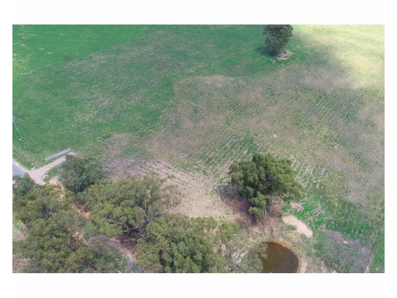 395 Jelbart Road, Jindera NSW 2642