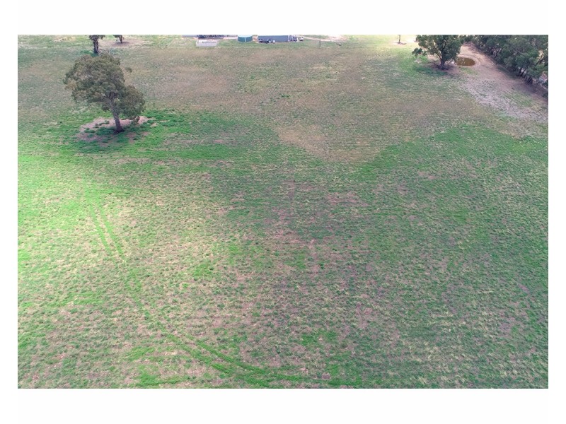 395 Jelbart Road, Jindera NSW 2642