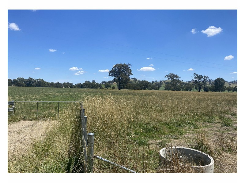 395 Jelbart Road, Jindera NSW 2642