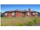 527 Schaefer St, Lavington NSW 2641