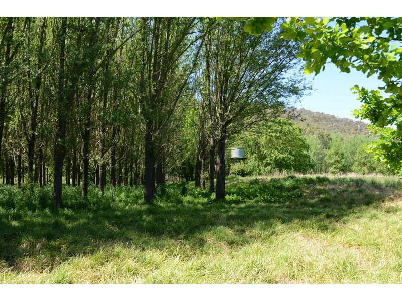 7677 Murray River Road, Mount Alfred VIC 3709