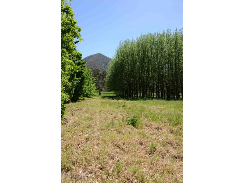 7677 Murray River Road, Mount Alfred VIC 3709